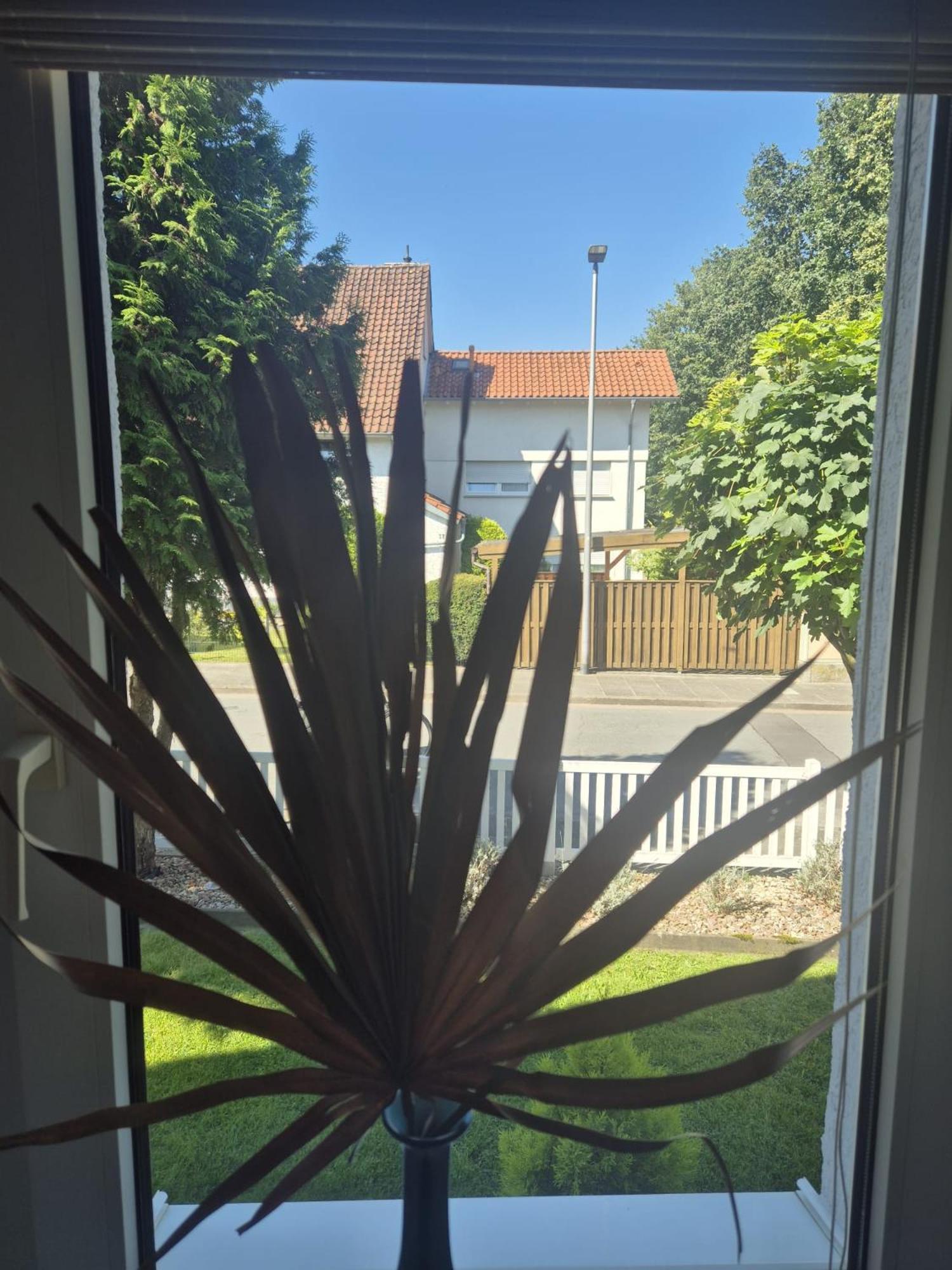 Apartament Detmolder Perle Zewnętrze zdjęcie